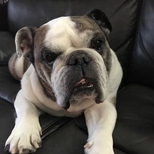 Meet your Posher, Jane